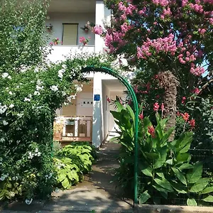 Mirjana Apartman Fazana